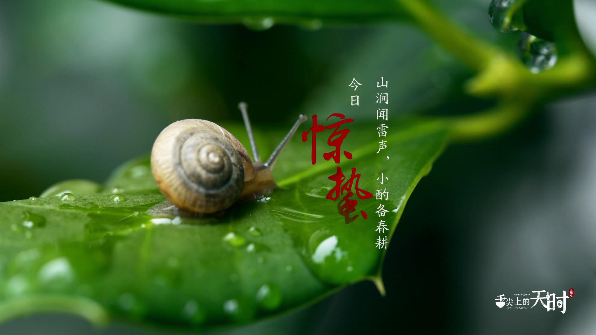 &#38886;&#24503;&#32593;&#31449;&#45;&#40;&#20013;&#22269;&#41;&#26377;&#38480;&#36131;&#20219;&#38886;&#24503;&#32593;&#31449;